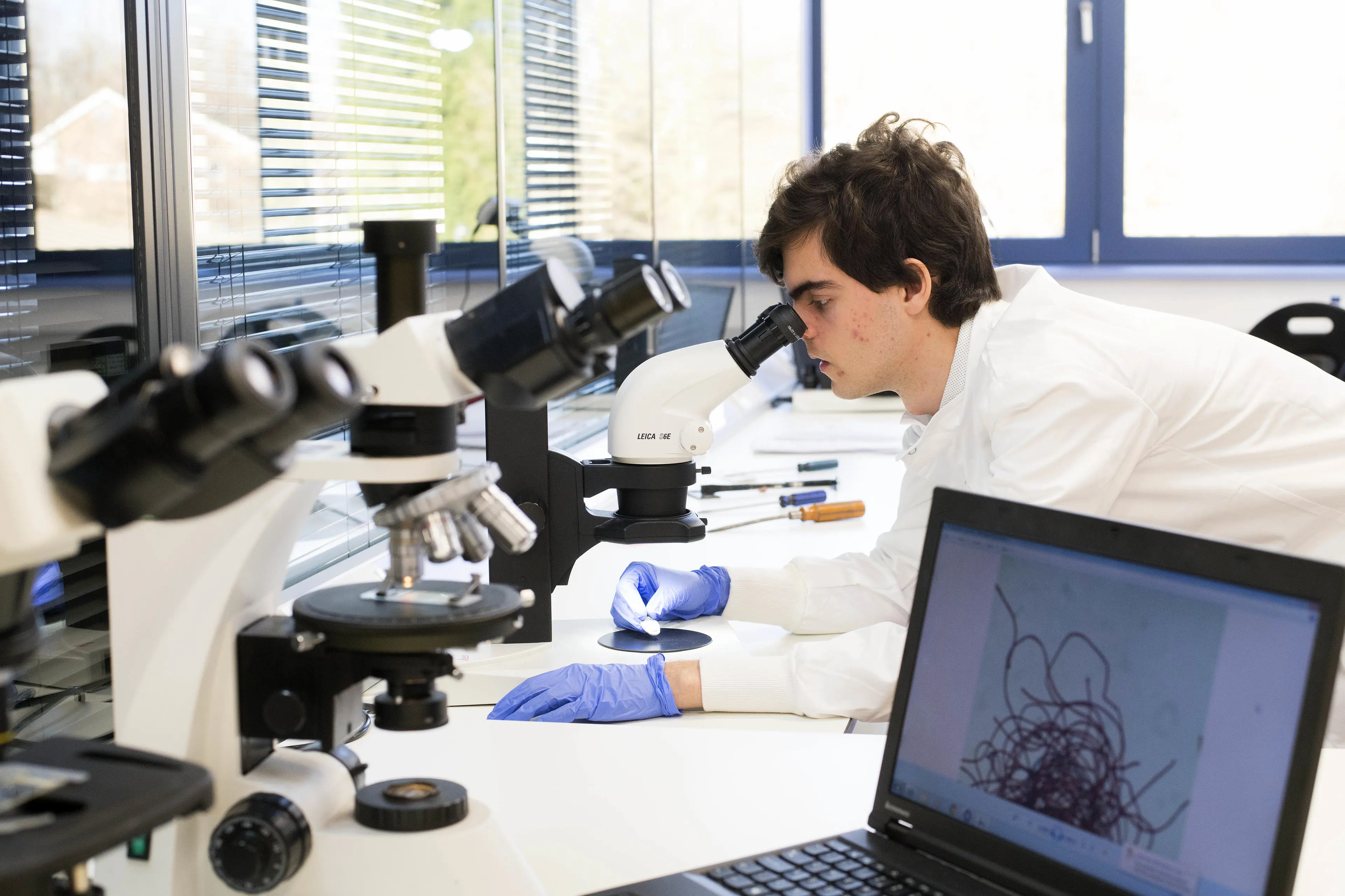 forensics-labwork-2