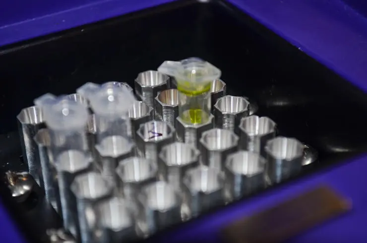 Experiment underway