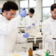Students dressed in lab coats, goggles and gloves working together in the laboratory