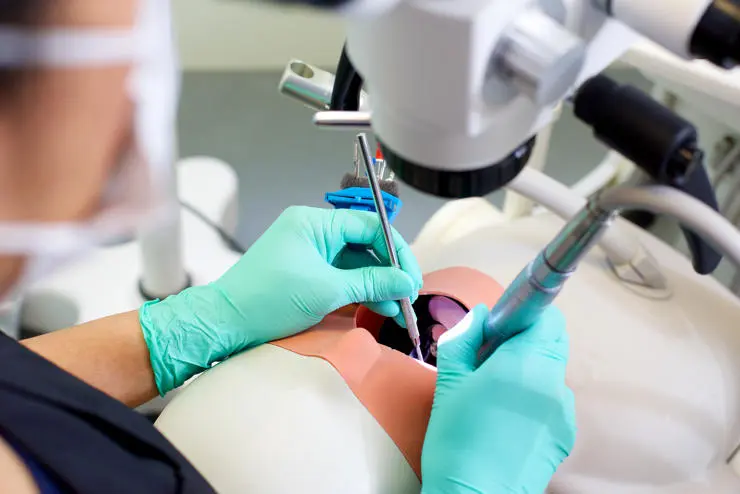 BDSi student completing surgery on doll
