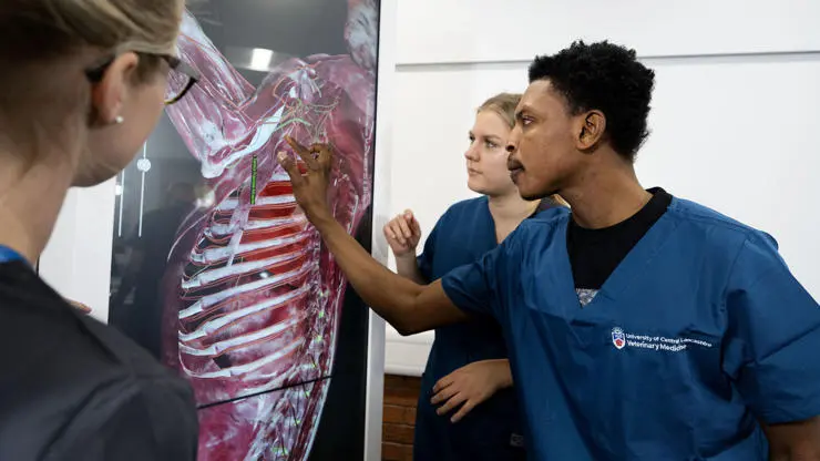 Veterinary Medicine students and tutor using anatomage table