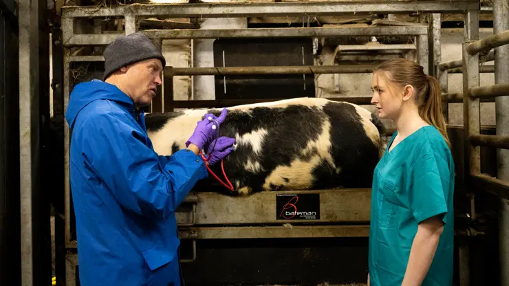 All students have access to a real working farm at Myerscough College & University Centre.