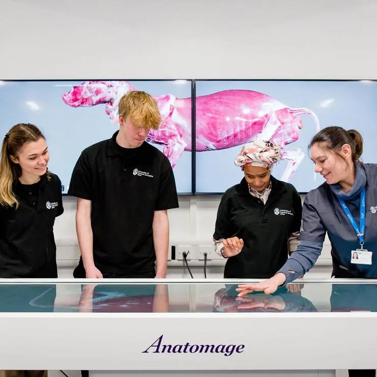 Students and academic staff using virtual dissection tables in Clinical Skills Suite
