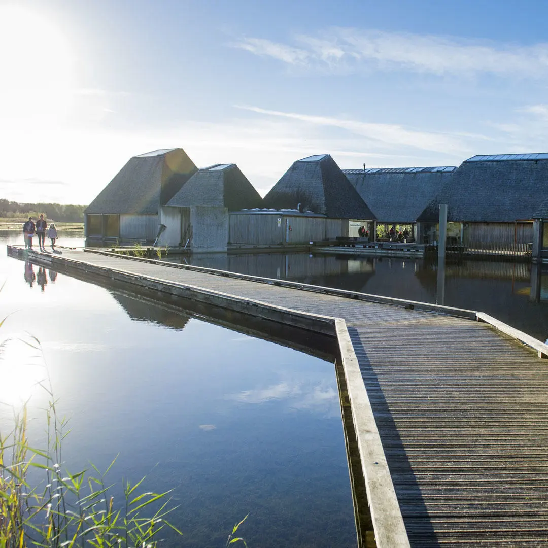 Brockholes nature reserve