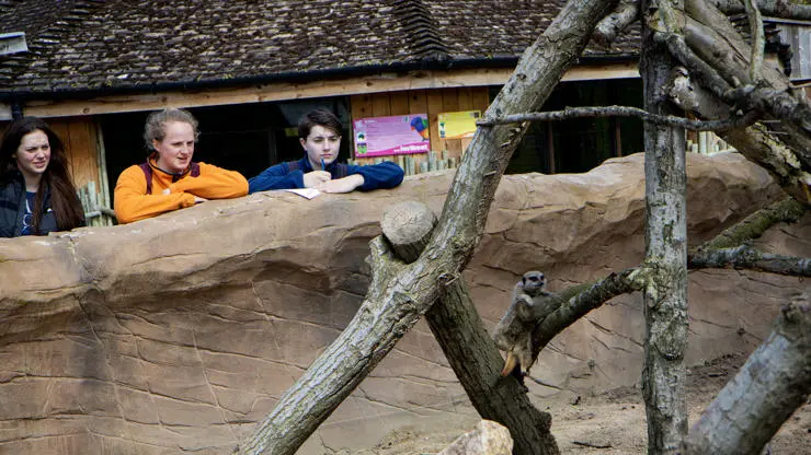 You will attend field trips to observe animals at Blackpool Zoo
