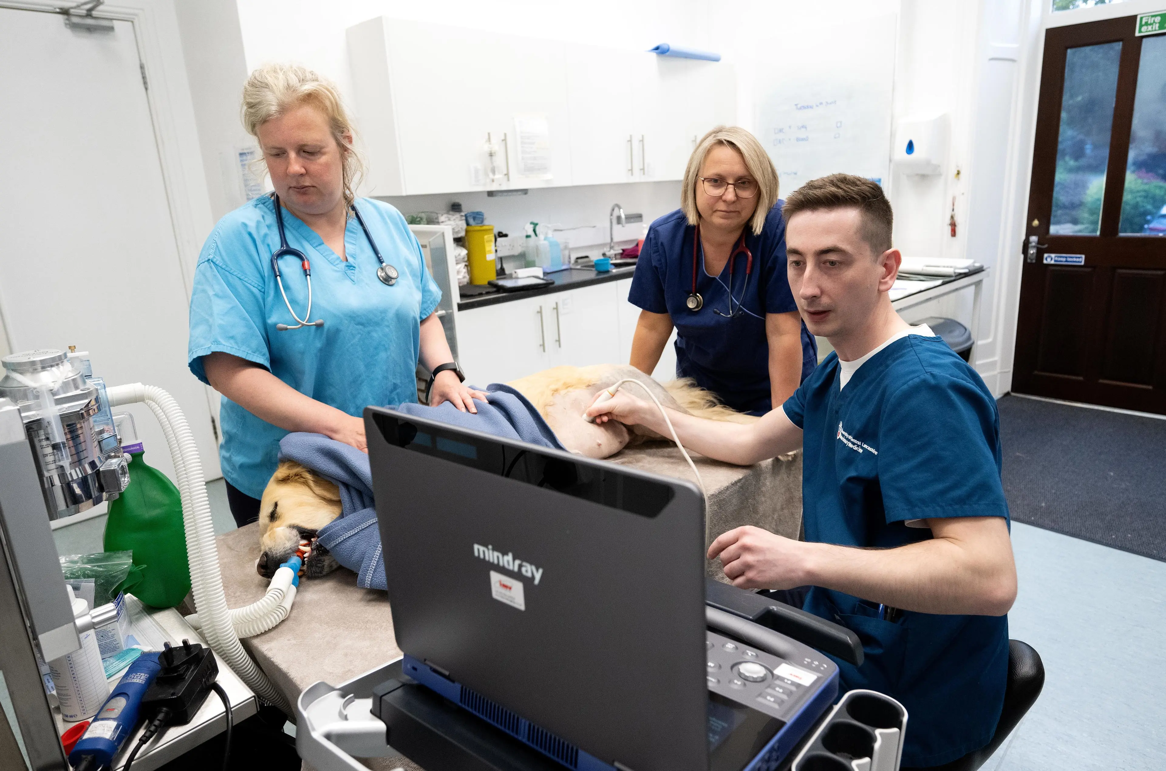 UCLan_placement_BayVet-9920 (1)