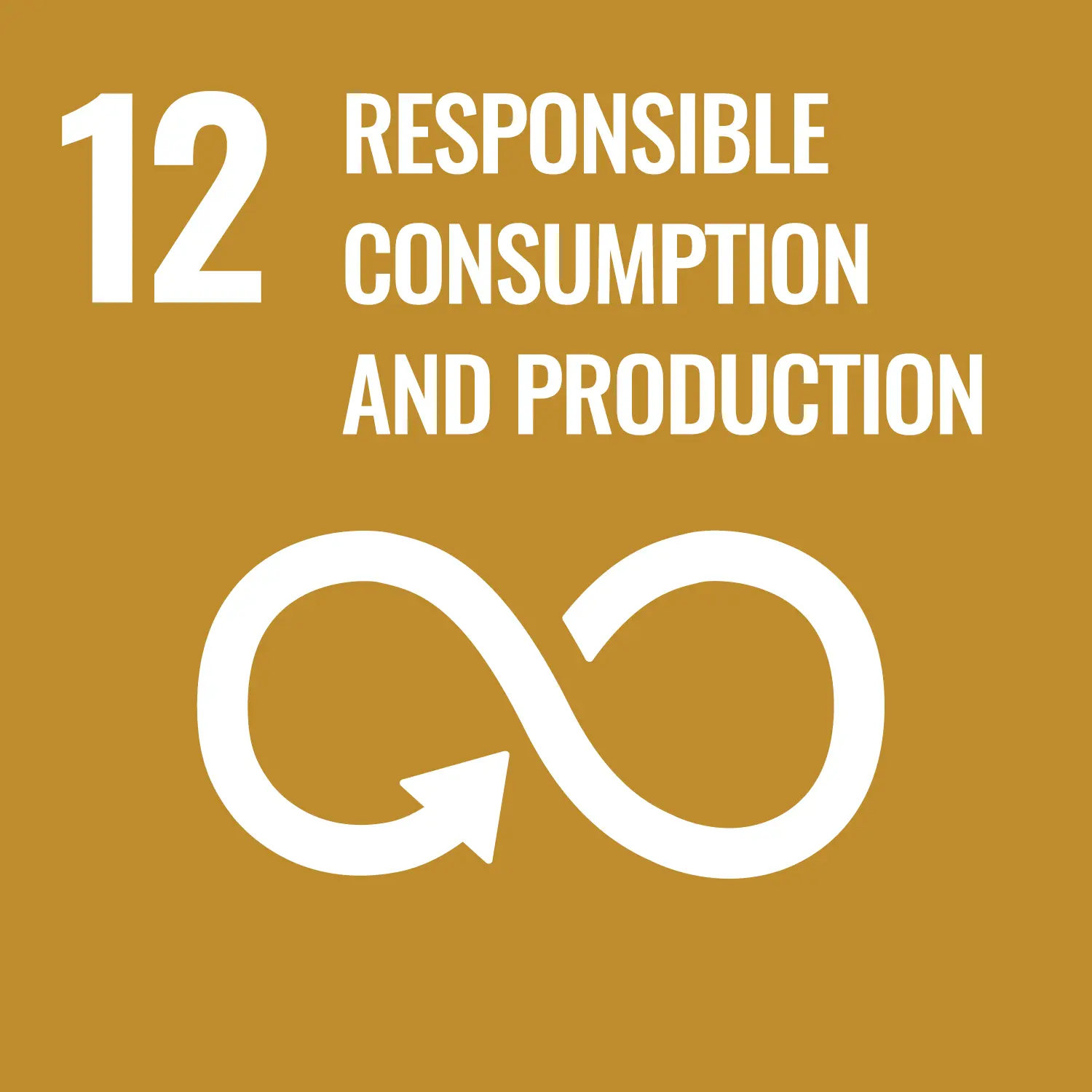 un sustainable development goal responsible work and consumption infographic