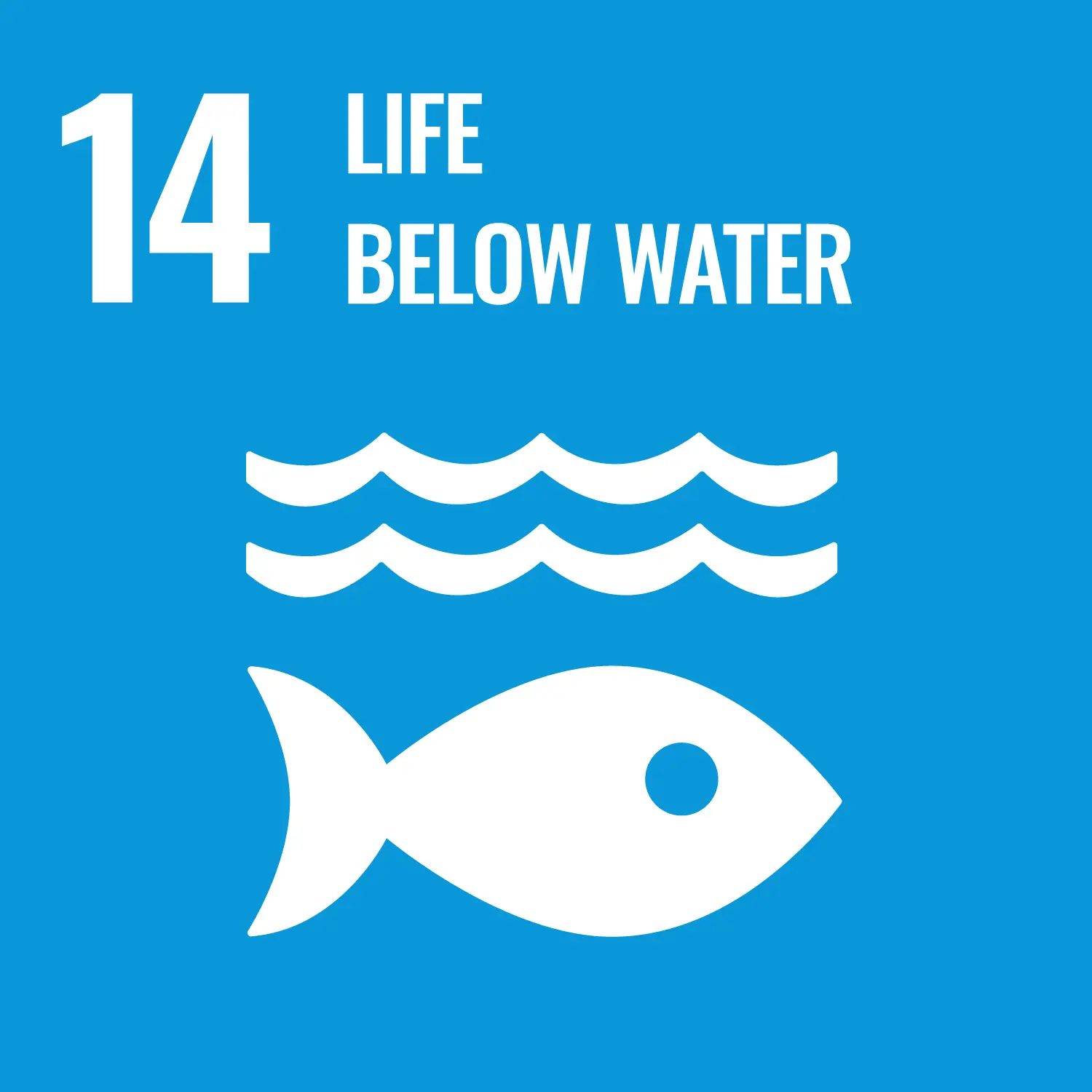 un sustainable development goal life below water infographic