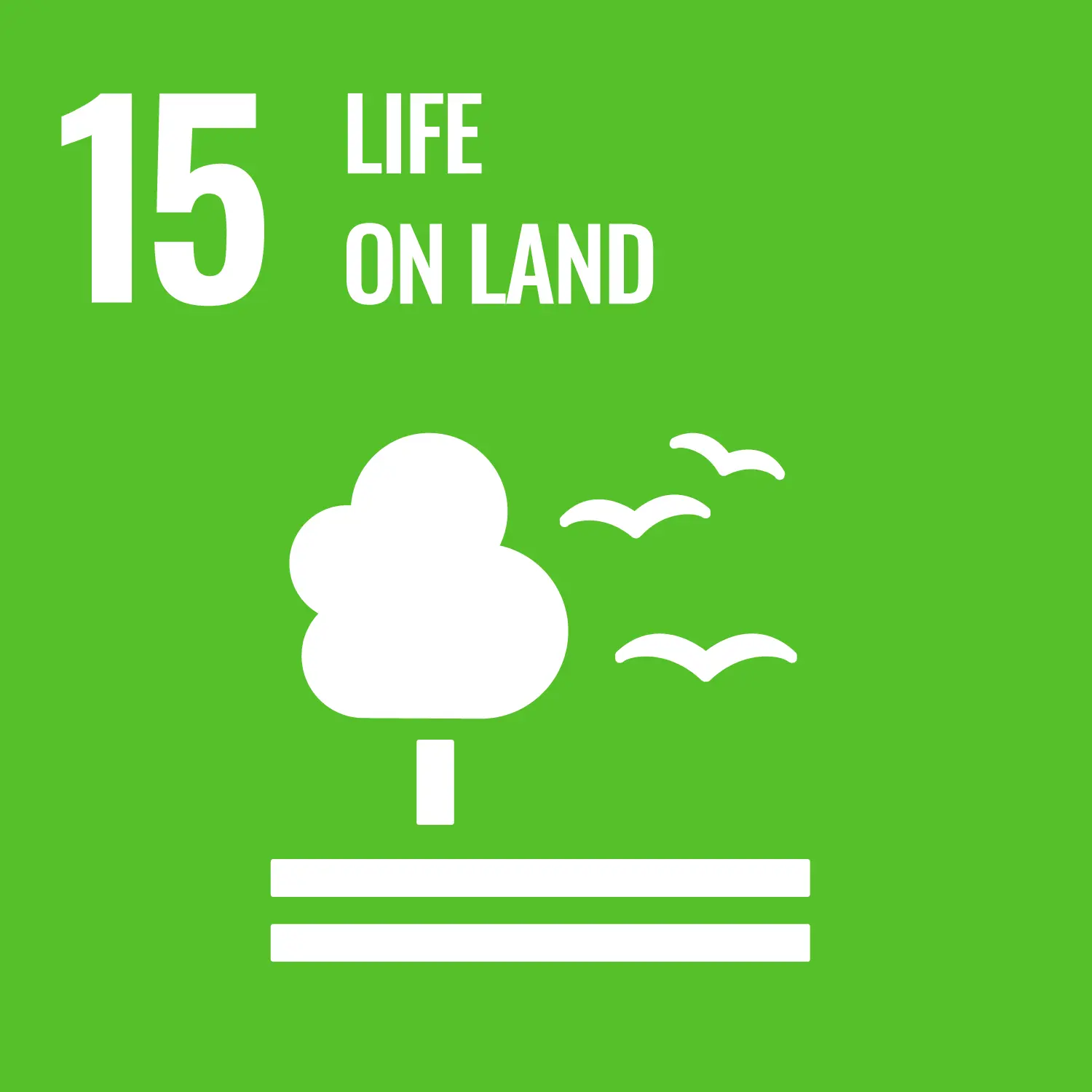 un sustainable development goal life on land infographic