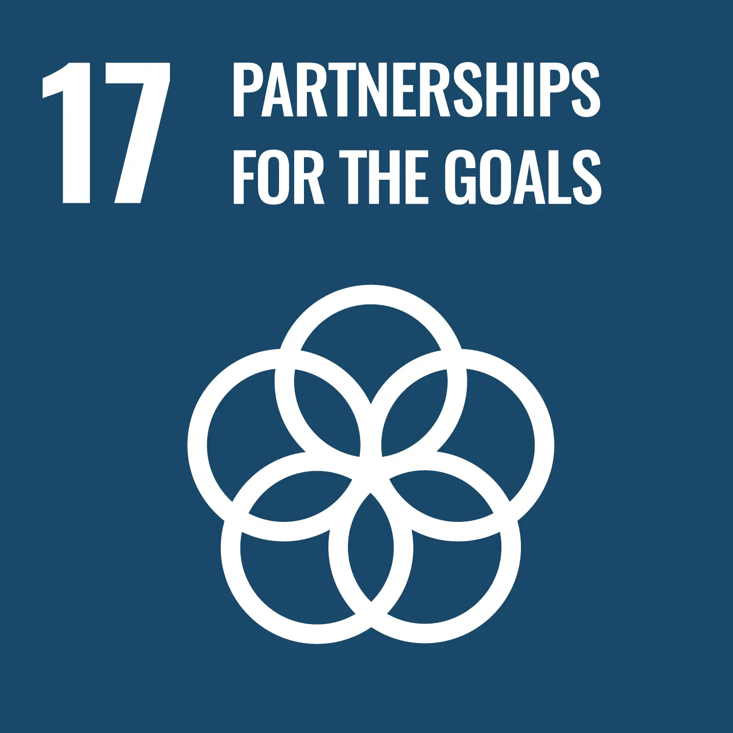 un sustainable development goal parterships for the goals infographic