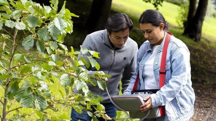 Biology student analysing plants.