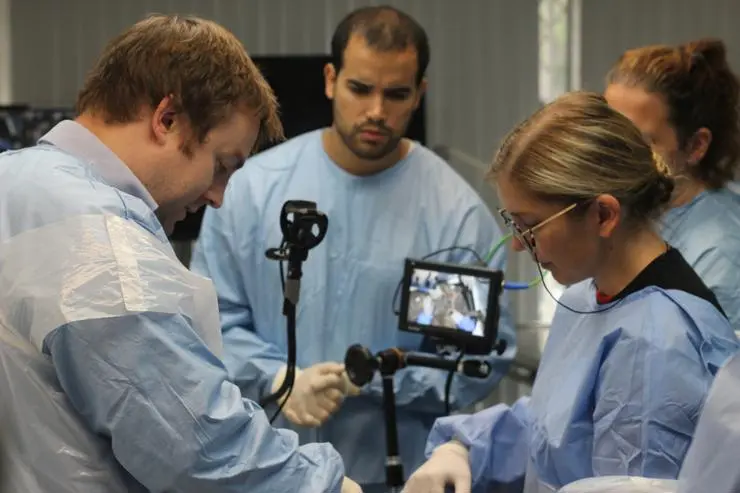 Tutor demonstration during clinical practical sessions.