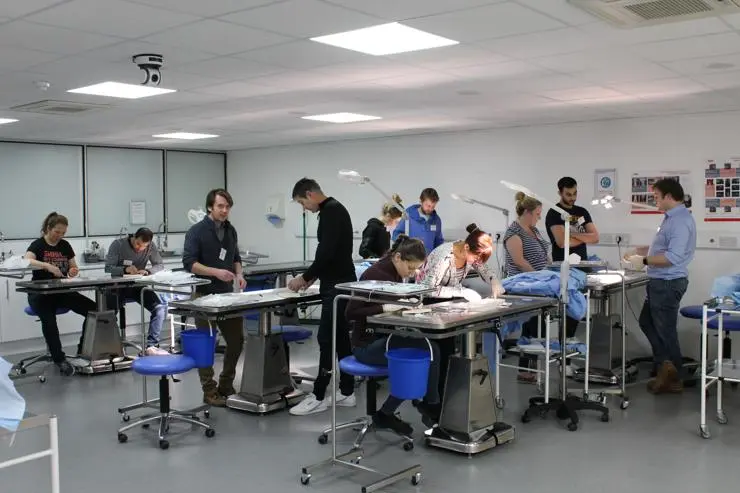 Practical learning during small animal surgery training.