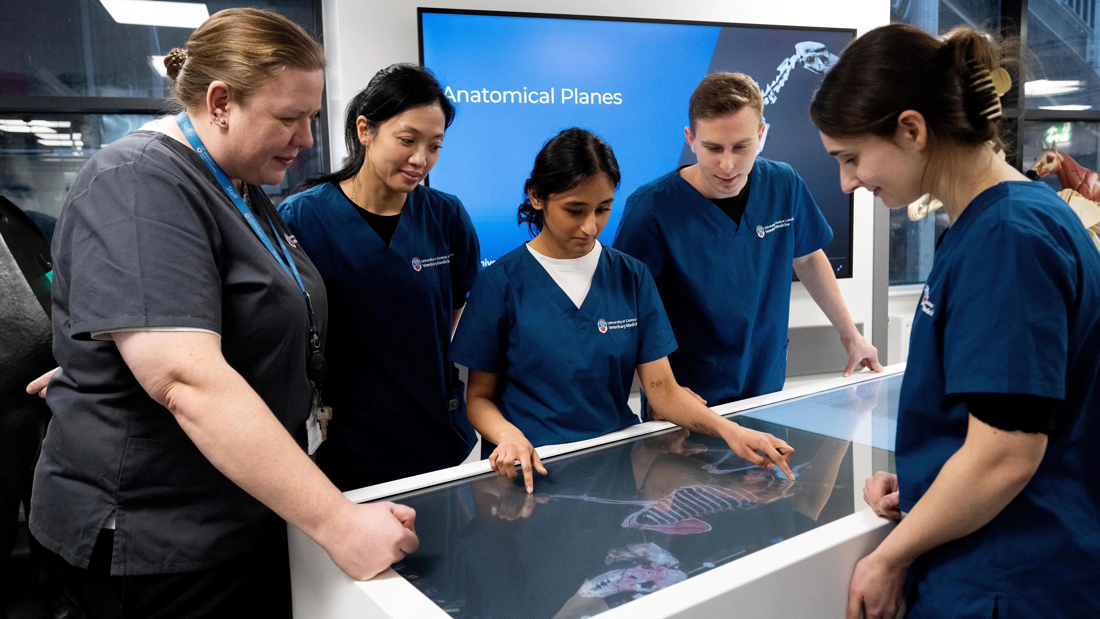 vet-clinical-suite-simulations